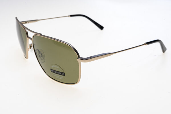 Serengeti Occhiali sole uomo DORWINN SS578001