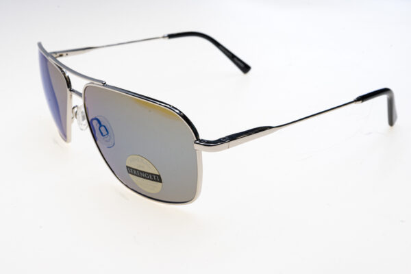 Serengeti Occhiali sole uomo DORWINN SS578002