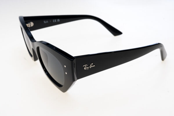 Ray-Ban Occhiali sole unisex 4430 SOLE 0RB4430  52  667787 145-52-22